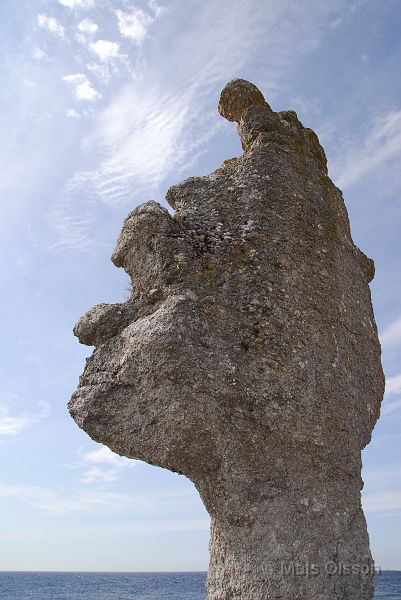 DSC_0079_redigerad-1.jpg - Raukar vid Langhammar (Fårö)