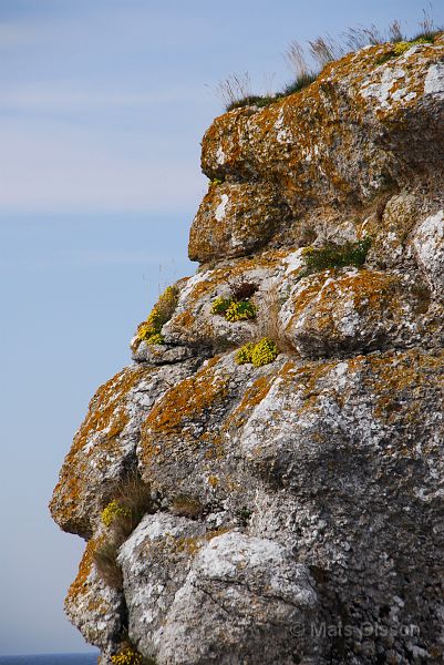 DSC_0091_redigerad-1.jpg - Raukar vid Langhammar (Fårö)