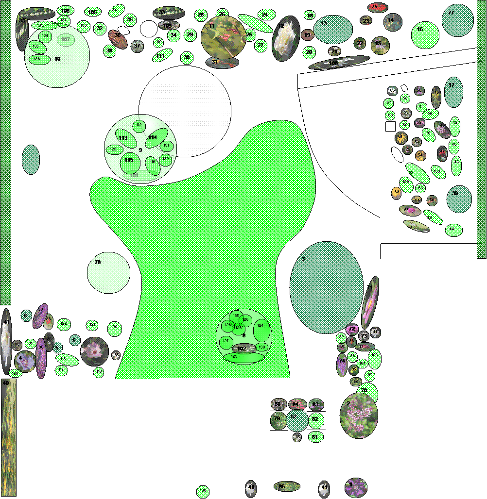 Ellips: 12,Ellips: 36,Ellips: 71,Ellips: 49,Ellips: 46,Ellips: 55,Ellips: 57,Ellips: 65,Ellips: 90,Ellips: 94,Ellips:        108,Ellips: 111,Ellips: 113,Ellips: 114,Ellips: 116,Ellips: 118,Ellips: 76,Ellips: 129,Ellips: 126,Ellips: 135,Ellips: 139
